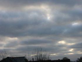 12.02.2011 006.JPG