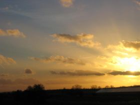 08.02.2011 013.JPG