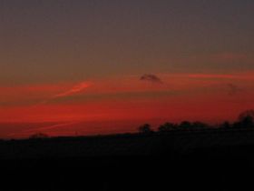 08 (1).02.2011 016.JPG