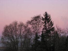 28.01.2011 008.JPG