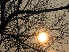 01.03.2011 022.JPG